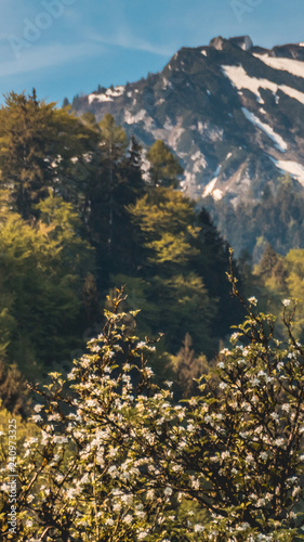 Smartphone HD wallpaper of beautiful view of the Hochfelln near Bergen - Bavaria - Germany photo