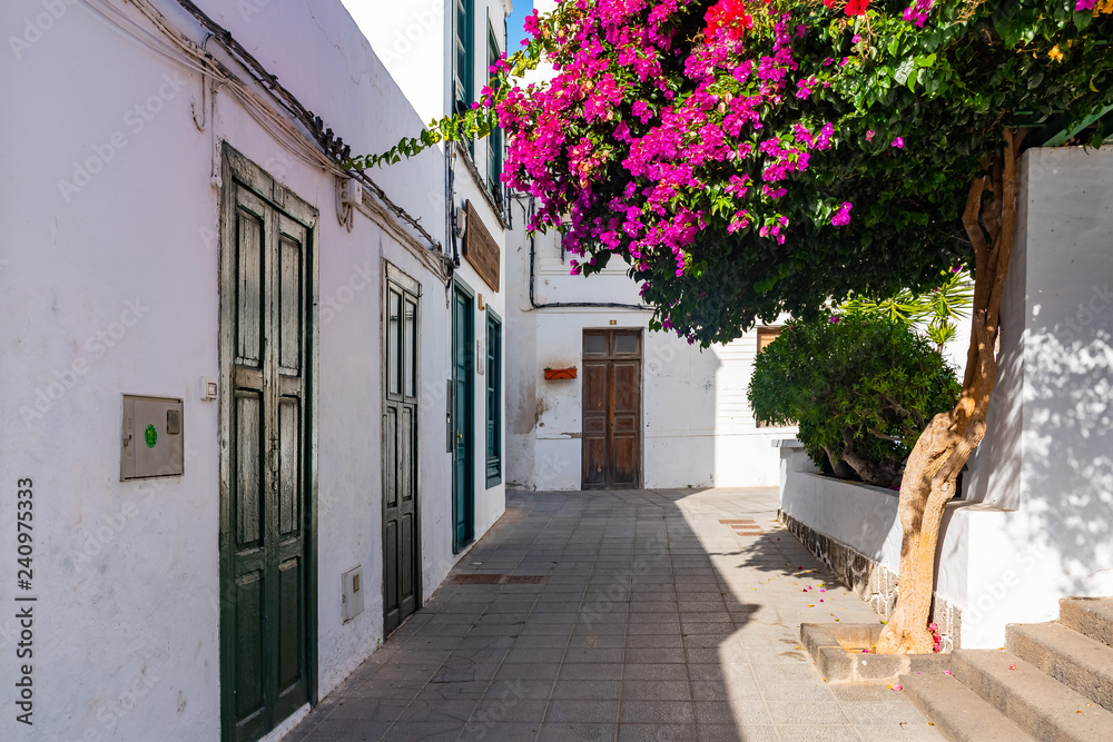 Beautiful typical white houses in Haria with purple flowers, Lanzarote, Canary Islands, Spain