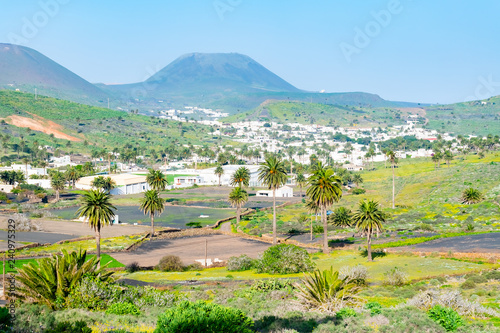 Amazing landscape of Haria valley, the valley of a thousand palms, Lanzarote, Canary Islands, Spain photo