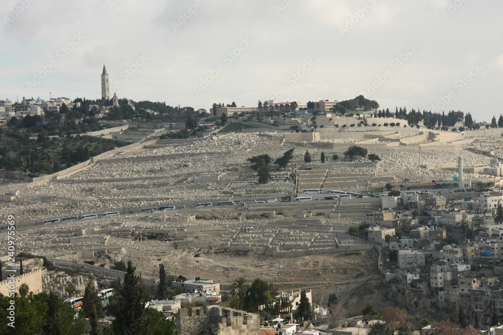 Fototapeta premium The Mount of Olives is a huge