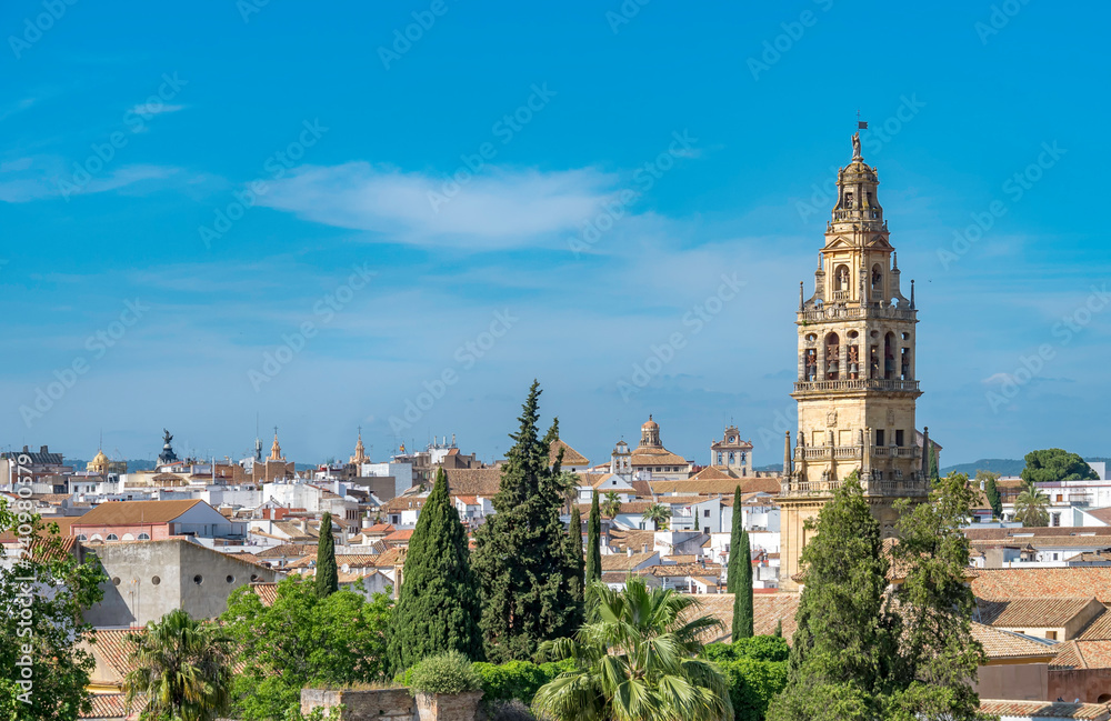 Aerial view from the Alcazares de los reyes and the Torre del campanario  (Bell tower) in the background in Cordoba, Spain.