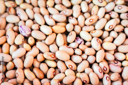 White beans background (Phaseolus) – food for veggies.