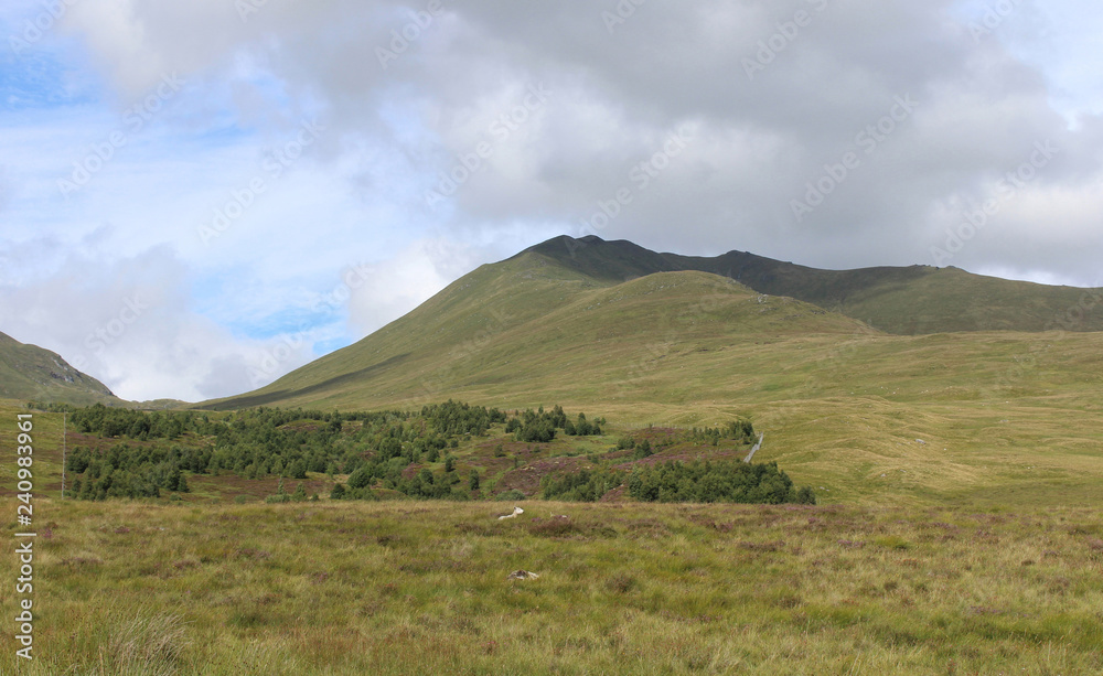 View of Ben Lawers National Nature Reserve, and the Edramucky Trail clearly showing an area of regenerated native vegetation.