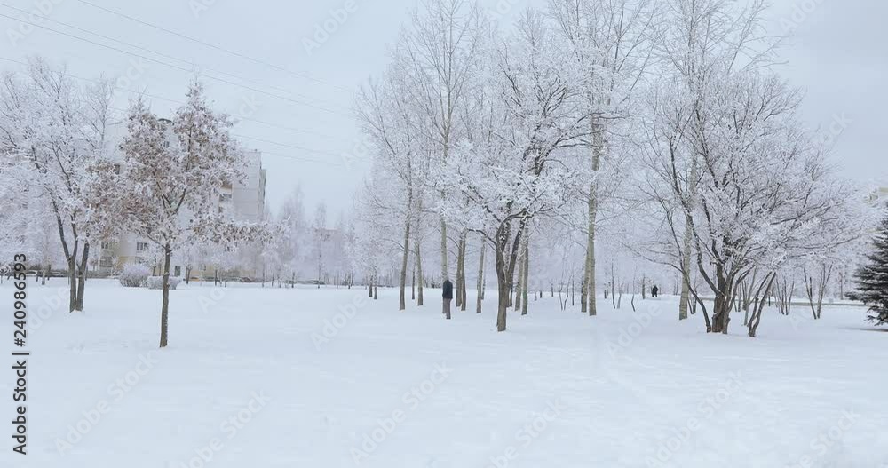 Snow-covered city park