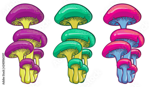 Forest mushrooms. Isolated vector illustrations of bright colorful mushrooms.