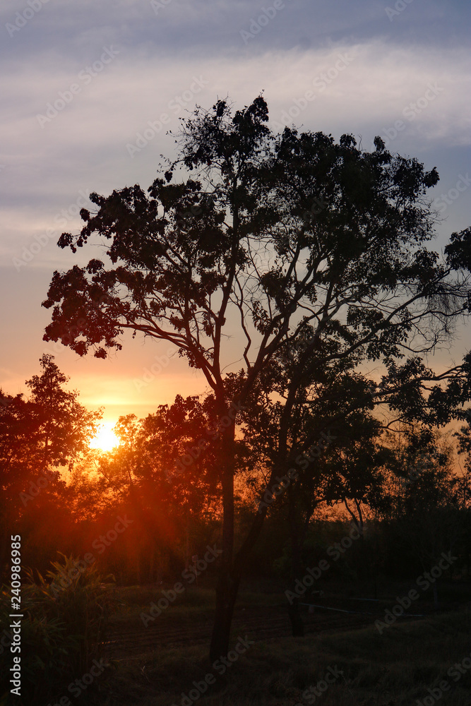 Fototapeta premium Natural landscape