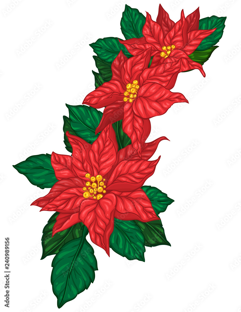Poinsettia flowers bouquet. Christmas floral decoration element. Three red flowers with leaves. Vector illustration. Poinsettia flowers bouquet. Christmas floral decoration element. Three red flowers with leaves. Vector illustration.