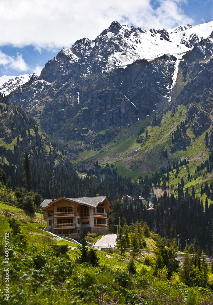 house in the alps