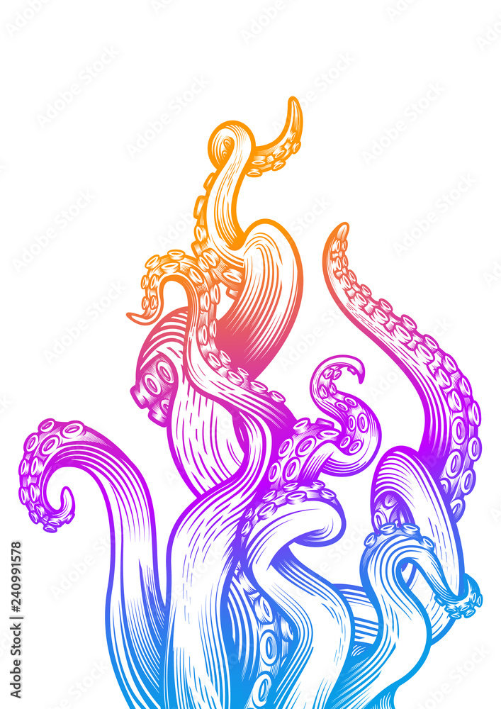 Tentacles of an octopus. Hand drawn vector illustration in engraving ...