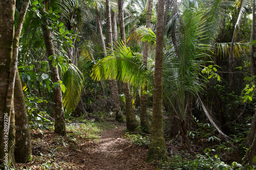 Costa Rica 2106