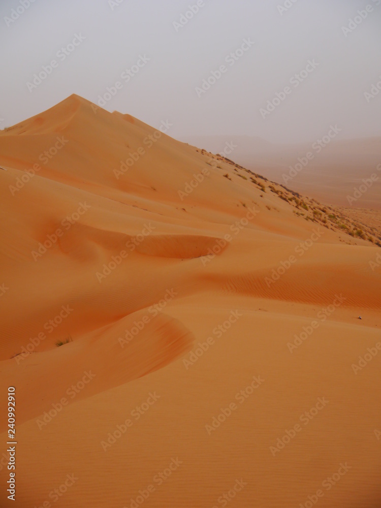 scenic desert panorama with gigantic sand dune in the back, Middle East