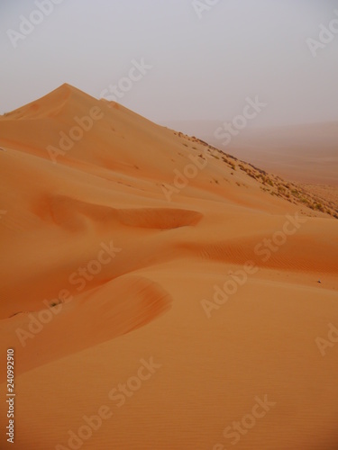 scenic desert panorama with gigantic sand dune in the back, Middle East