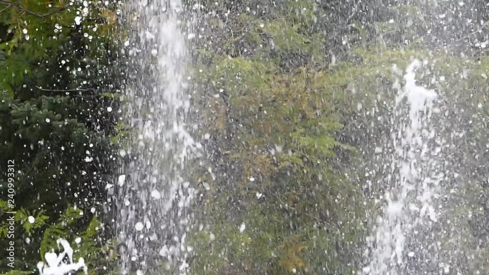 jet d'eau devant des arbres 