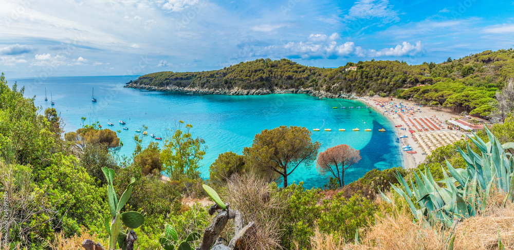 Landscape with Fetovaia beach on Elba island, Tuscany, Italy