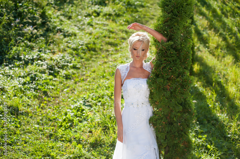 Portrait of bride on the grass background Portrait of bride on the grass background