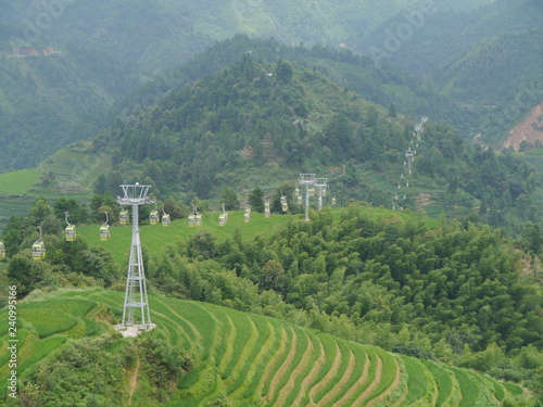 chinese nature