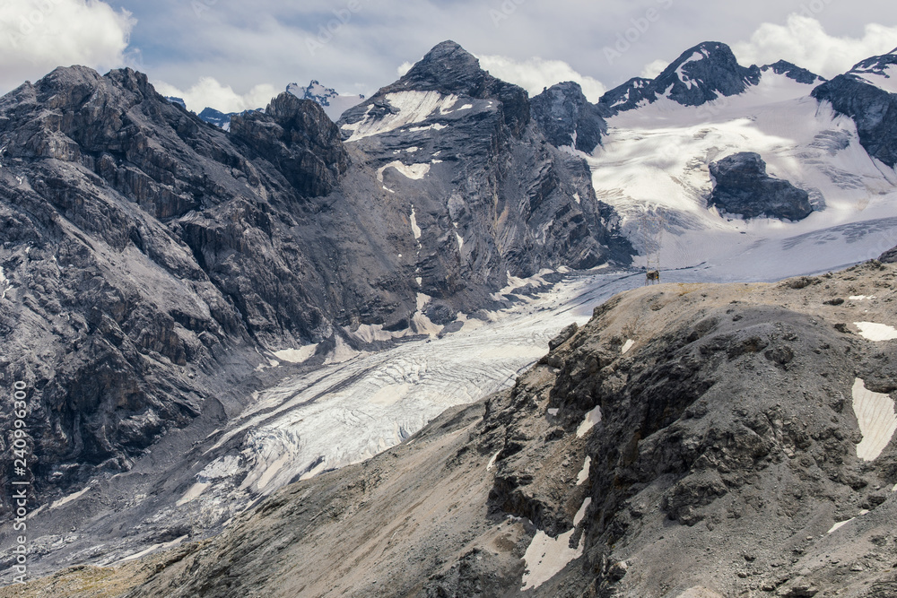 The Stelvio glacier, Italy. Example of glacier retreat due to global warming.