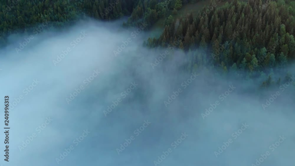 Mountain Forest With Green Trees In Fog Aerial View Mountain Forest With Green Trees In Fog Aerial View