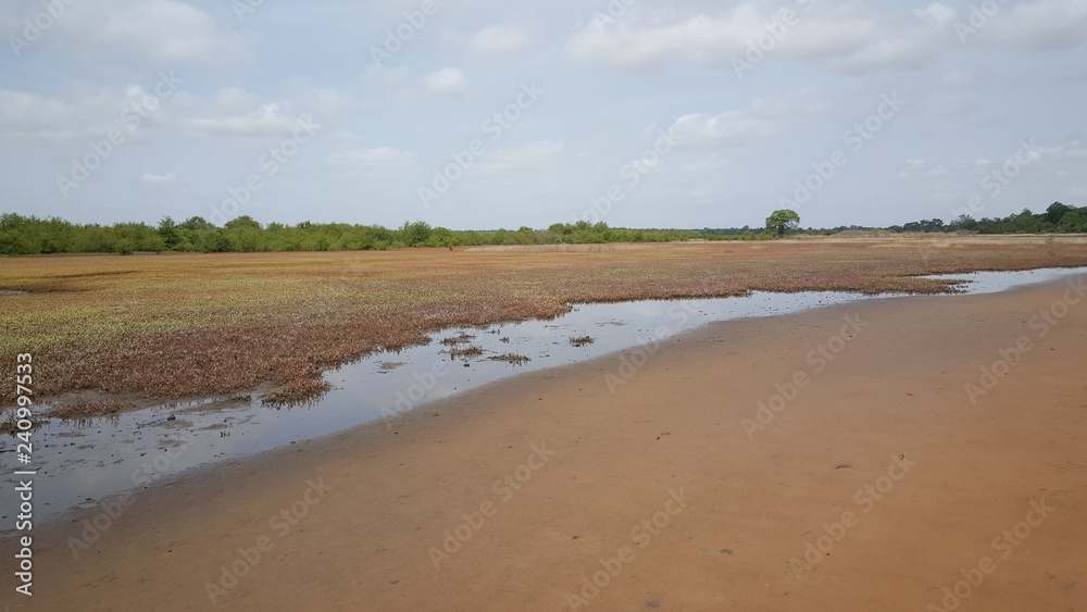 Bao Bolong Wetland Reserve Bao Bolong Wetland Reserve