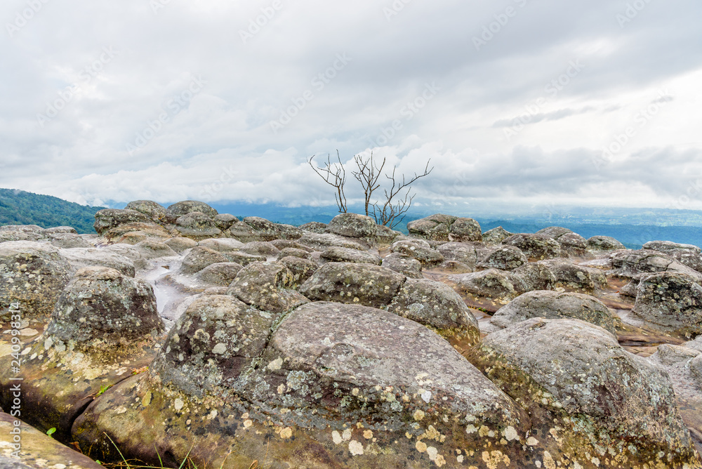 Beautiful nature landscape of green forests on Lan Hin Pum viewpoint with strange stone shapes caused by erosion is a famous nature attractions of Phu Hin Rong Kla National Park, Phitsanulok, Thailand