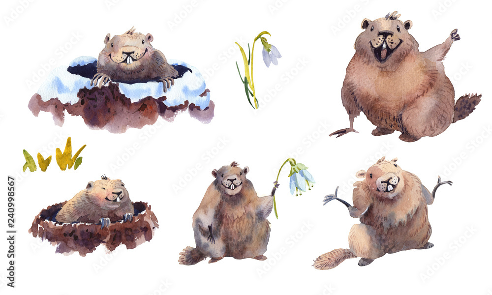 Fototapeta premium Happy Groundhog Day - hand drawn watercolor collection illustrations character card groundhog