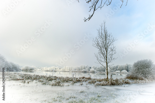 Paysage hivernal givré et innondation photo