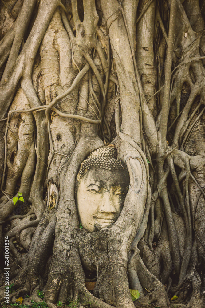 stone head of Buddha surrounded by tree's roots in Wat Prha Mahathat Temple in Ayutthaya, Thailand