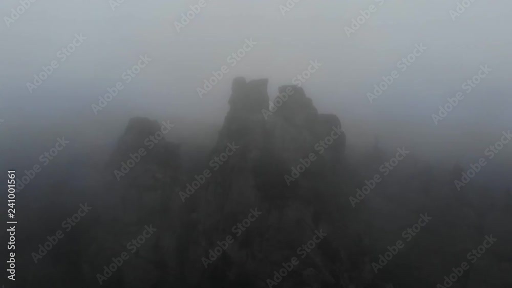 Rocks In Foggy Forest. Misty Nature Landscape In Gray Haze Rocks In Foggy Forest. Misty Nature Landscape In Gray Haze