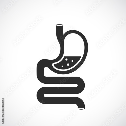 Digestion vector icon