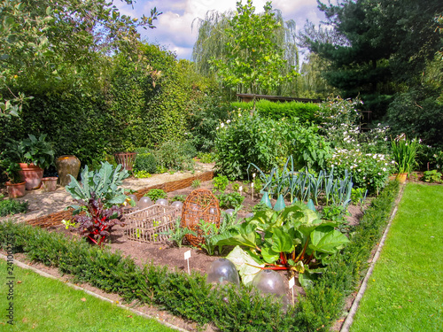 Small European domestic vegetable garden in the backyard in summertime photo