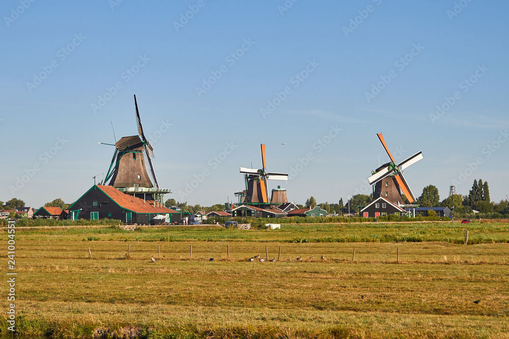 Fototapeta premium typical windmill in holland 