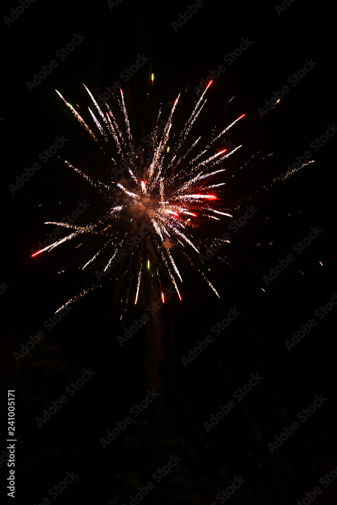Bright firework explosion in the night sky Bright firework explosion in the night sky