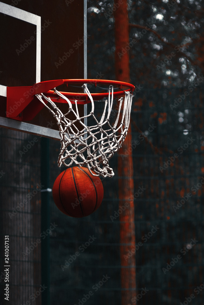 the ball in the basketball Hoop the ball in the basketball Hoop