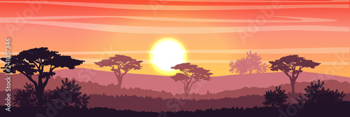 African Savannah at sunset. Acacia trees, grass, sky, sun and clouds. Realistic vector landscape. The nature of Africa. Reserves and national parks. 