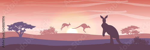 Three large red kangaroos on the Australian plains. Acacia trees and eucalyptus trees. Wild nature of Australia. Realistic vector landscape. Silhouettes of animals and plants. Travels