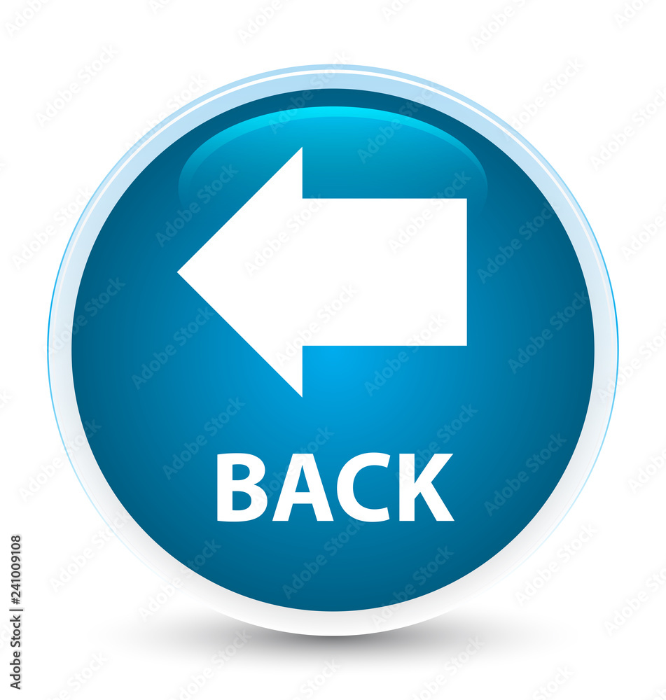 Back special prime blue round button Back special prime blue round button