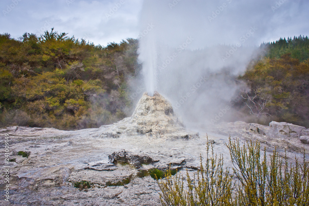 White geyser in geothermal park in New Zealand White geyser in geothermal park in New Zealand