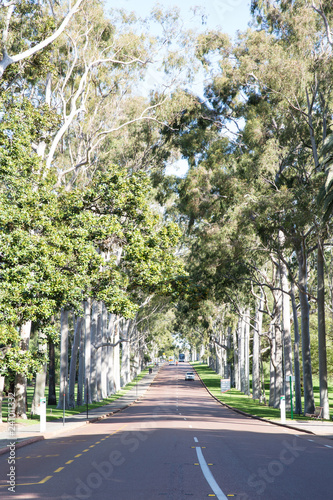 Kings Park  Perth - Road