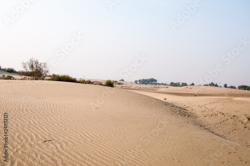 A desert dunes in the Thal desert 