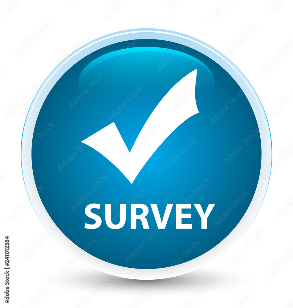 Survey (validate icon) special prime blue round button Survey (validate icon) special prime blue round button