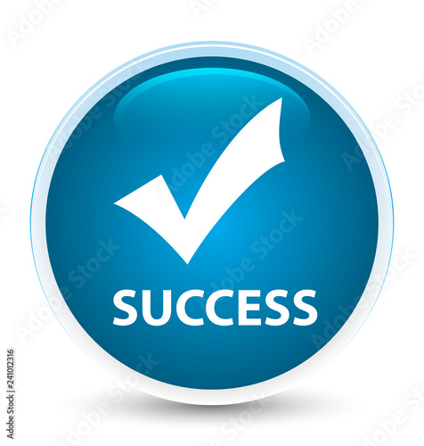 Success (validate icon) special prime blue round button