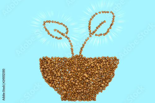 Buckwheat groats concept, sprouts with leaves, close up. Gluten free and non-allergenic healthy diet food. Used as source of Vegetarian Protein and improved heart health. Blue isolated background. photo