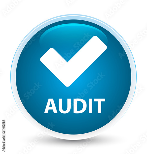 Audit (validate icon) special prime blue round button