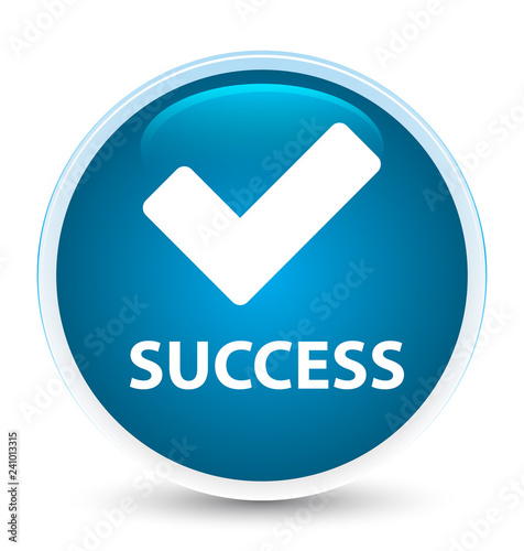 Success (validate icon) special prime blue round button