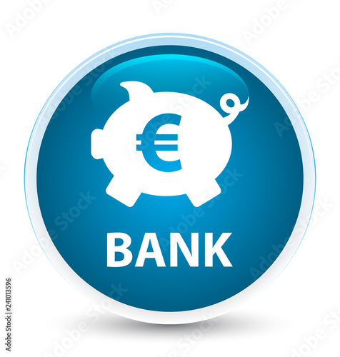 Bank (piggy box euro sign) special prime blue round button
