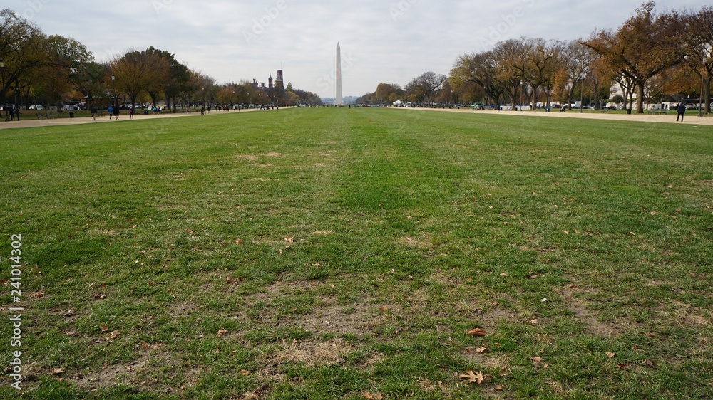 Obraz premium アメリカ連邦議会