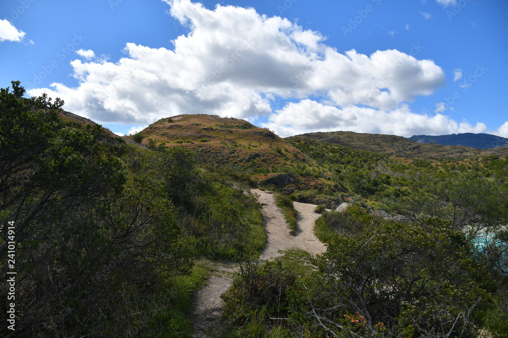 Fototapeta premium Landscape