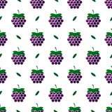 Vector seamless blackberry berries background