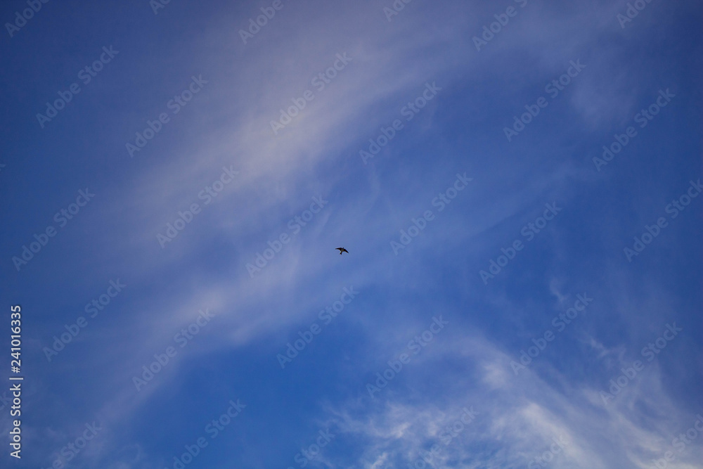 clouds in the sky clouds in the sky