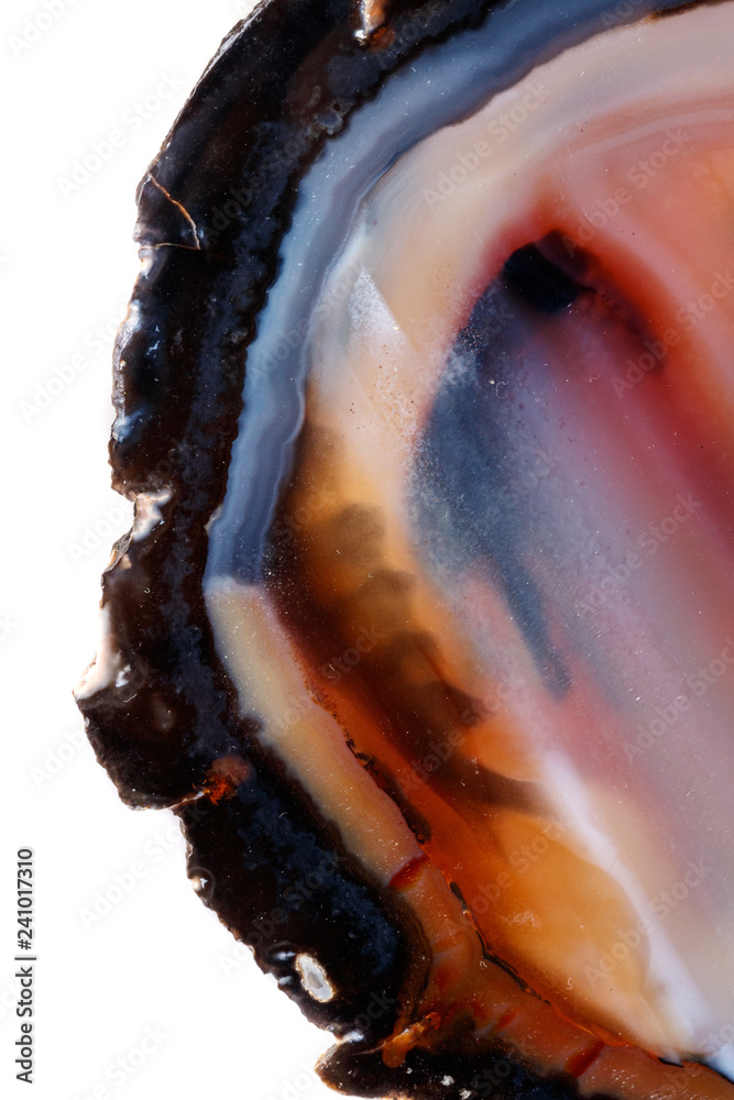Obraz premium Macro mineral stone Yellow, brown Agate breed a white background close up
